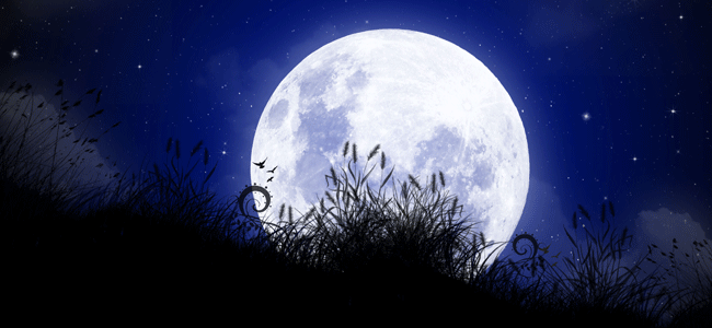 Cheap Domain Names Winter Solstice