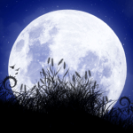 Winter Solstice
