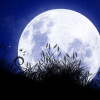 Winter Solstice