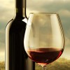 Permalink to France leads opposition to .wine and .vin domain names France opposes .wine domain names.