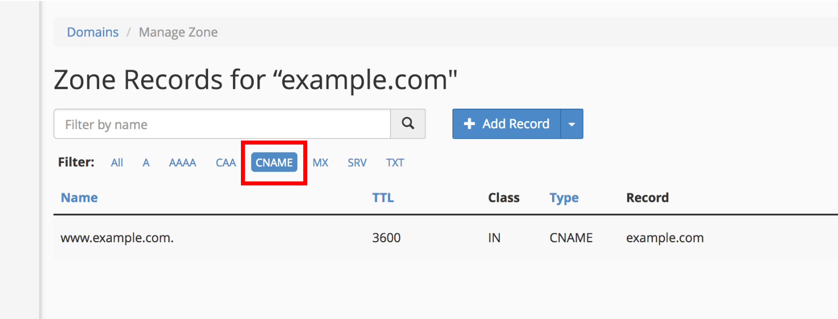 Filter CNAME in DNS Editor